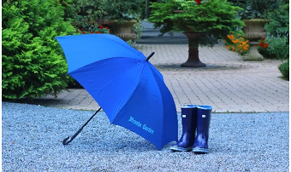 雨の日でも楽しめる真鍋庭園